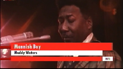 Muddy Waters - Mannish Boy