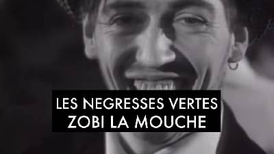 Les Négresses Vertes - Zobi La Mouche vignette