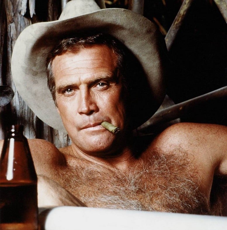 L'Homme qui tombe à pic – visuel de la série avec Lee Majors – 1981